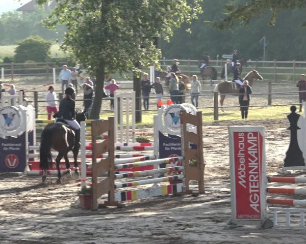 Reitturnier Mettingen 2023