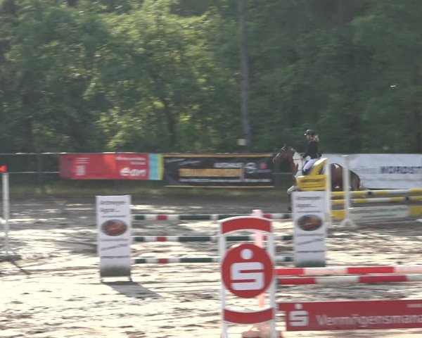Reitturnier Mettingen 2023