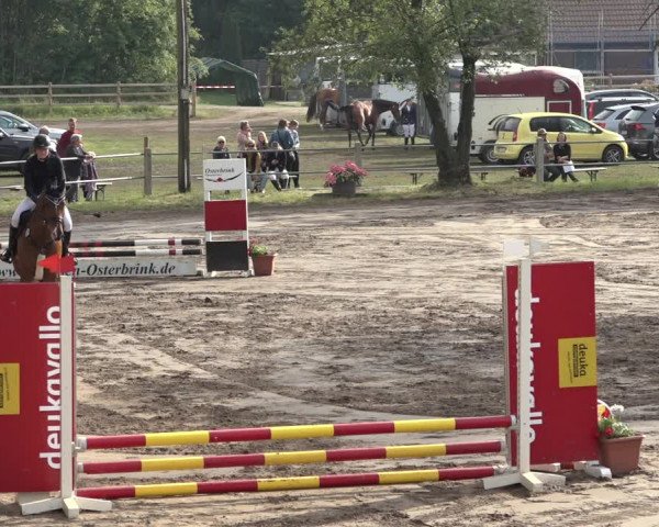 Reitturnier Mettingen 2023