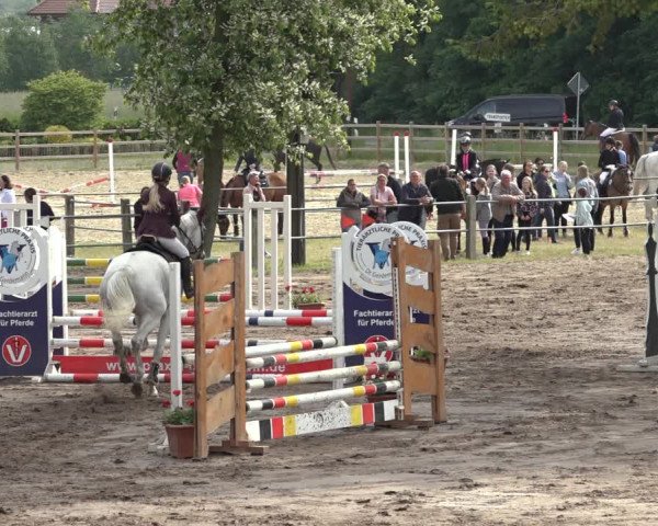 Reitturnier Mettingen 2023