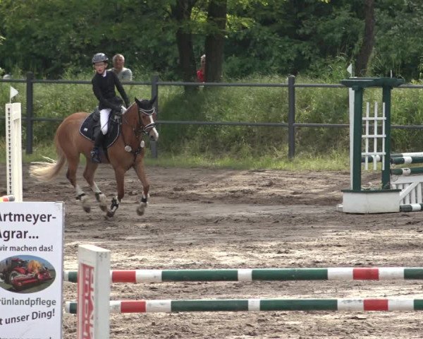 Reitturnier Mettingen 2023