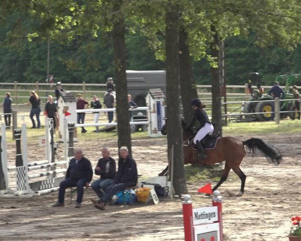 Reitturnier Mettingen 2023
