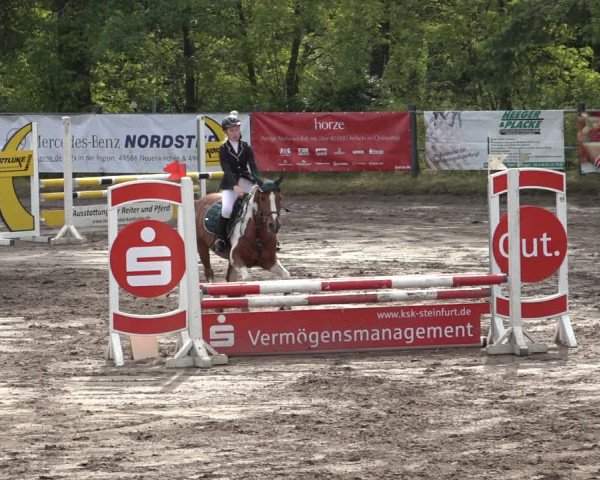 Reitturnier Mettingen 2023