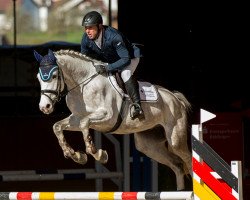 jumper Million Dreams 8 (Holsteiner, 2018, from Million Dollar)
