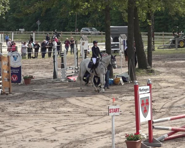 Reitturnier Mettingen 2023