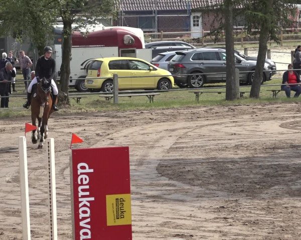 Reitturnier Mettingen 2023