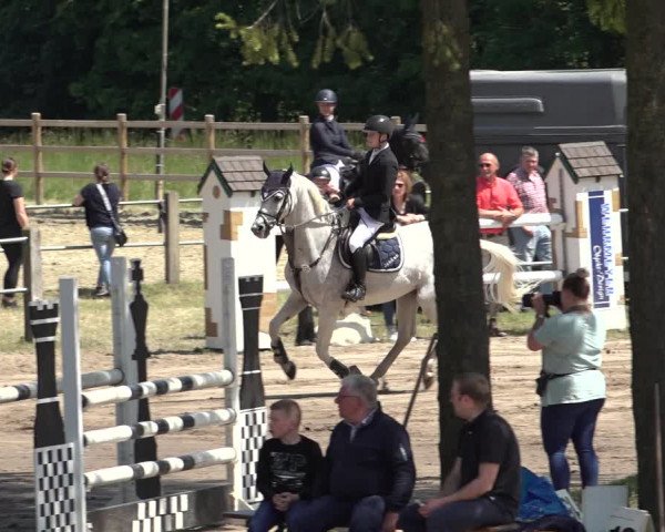 Reitturnier Mettingen 2023