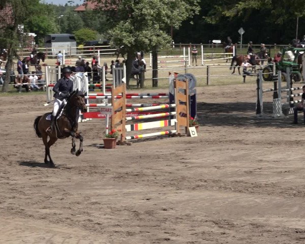 Reitturnier Mettingen 2023