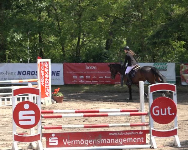 Reitturnier Mettingen 2023