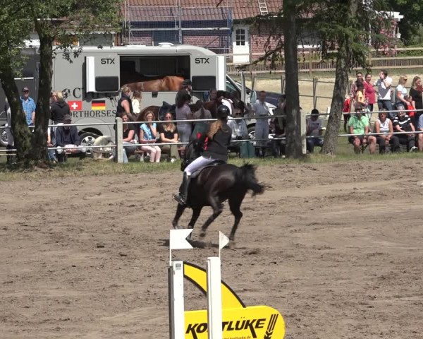 Reitturnier Mettingen 2023