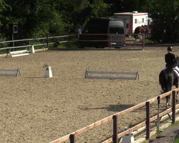 Reitturnier Iserlohn-Kalthof 2023