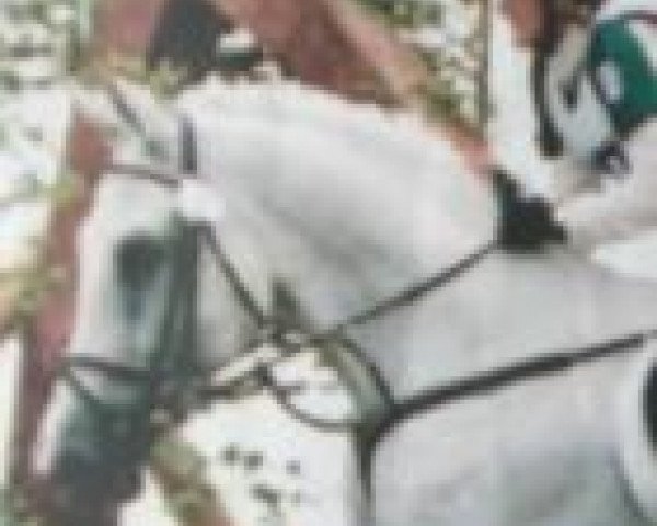 Peggy Beyer