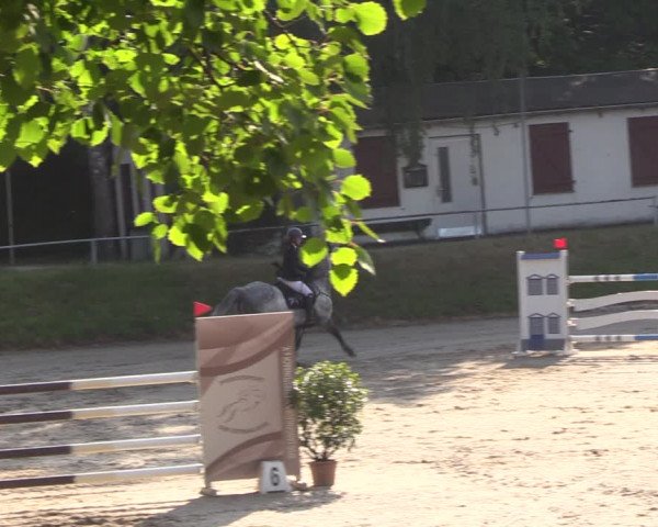 Reitturnier Lgl.-Oberhain 2023