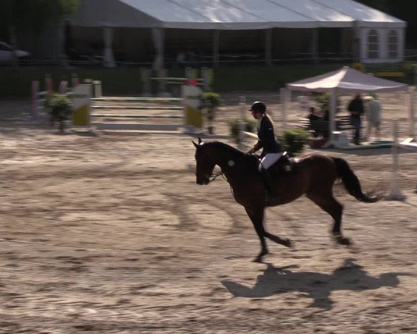 Reitturnier Lgl.-Oberhain 2023