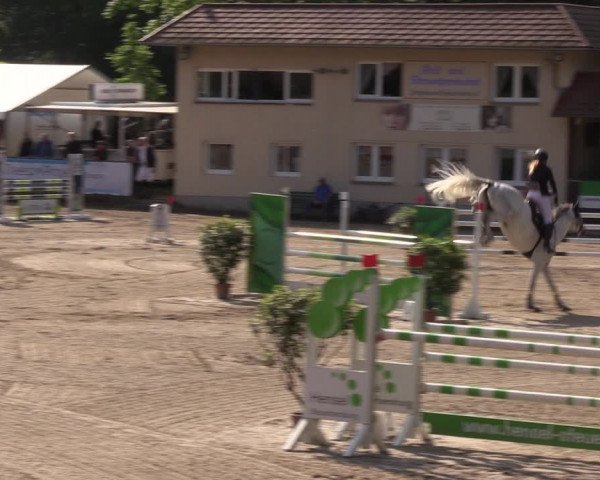 Reitturnier Lgl.-Oberhain 2023