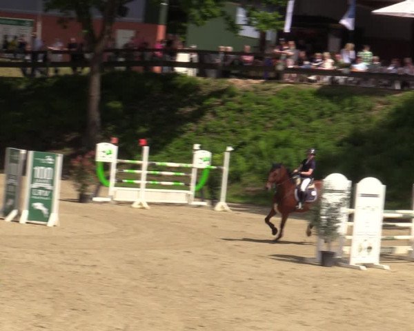 Reitturnier Iserlohn-Kalthof 2023