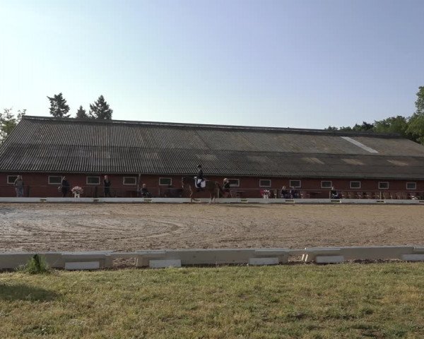 Reitturnier Mettingen 2023