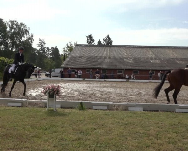 Reitturnier Mettingen 2023
