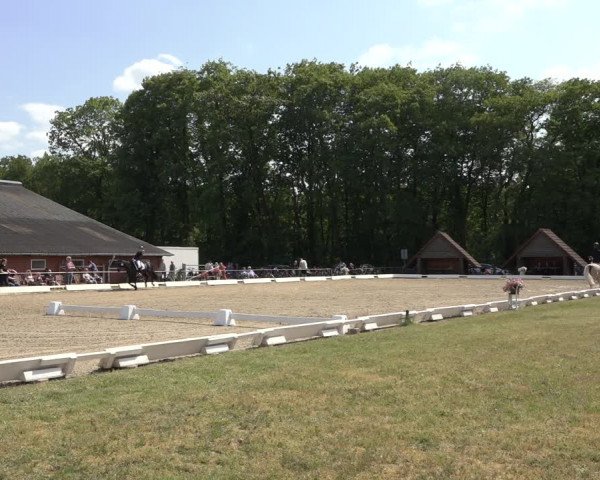 Reitturnier Mettingen 2023