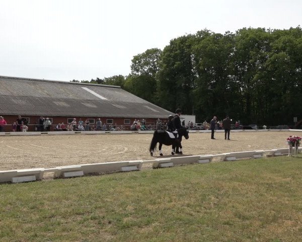 Reitturnier Mettingen 2023