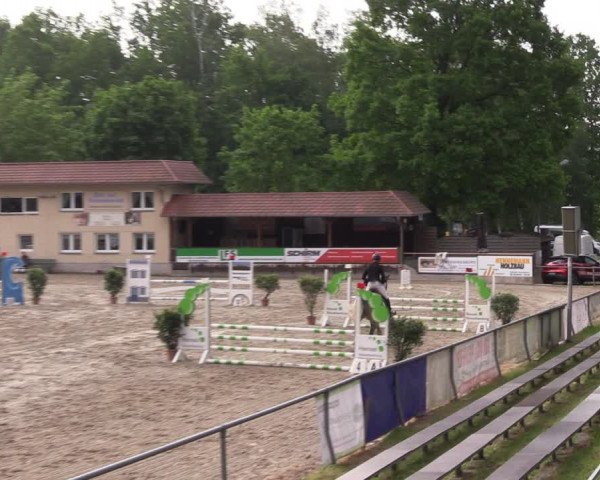 Reitturnier Lgl.-Oberhain 2023