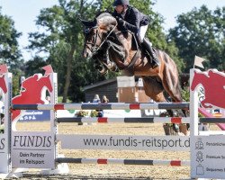 stallion Chaccothage Blue PS (Oldenburg show jumper, 2017, from Chacco-Blue)