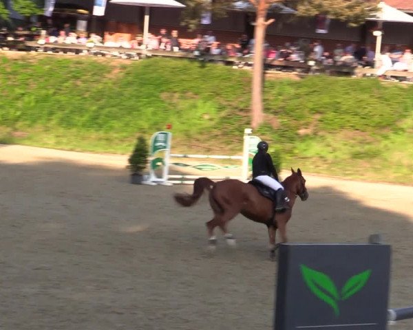 Reitturnier Iserlohn-Kalthof 2023