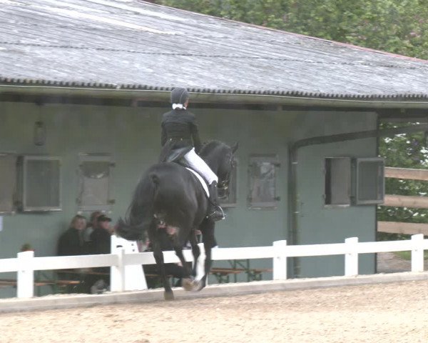 Reitturnier Kreuttal - Frey Horses 2023