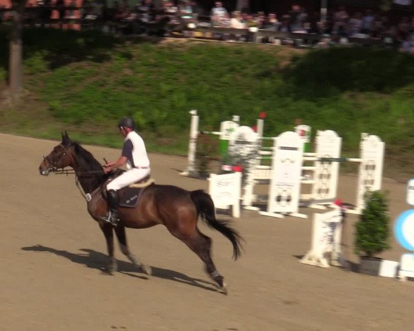 Reitturnier Iserlohn-Kalthof 2023
