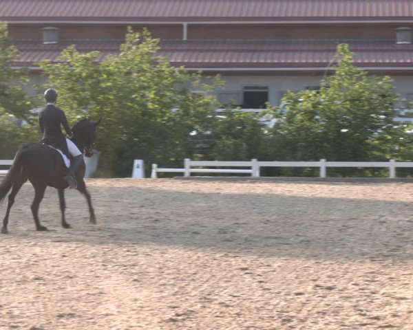 Reitturnier Kreuttal - Frey Horses 2023