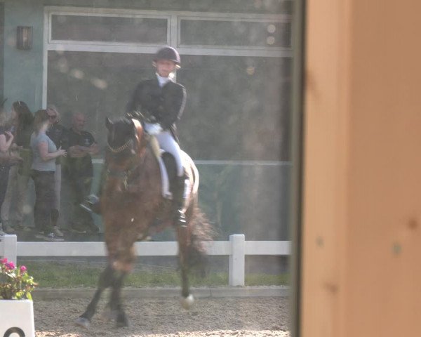 Reitturnier Kreuttal - Frey Horses 2023