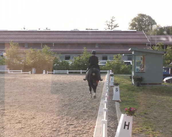 Reitturnier Kreuttal - Frey Horses 2023