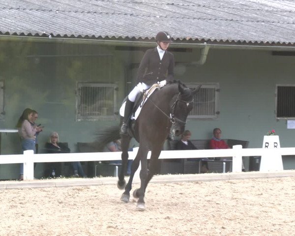 Reitturnier Kreuttal - Frey Horses 2023