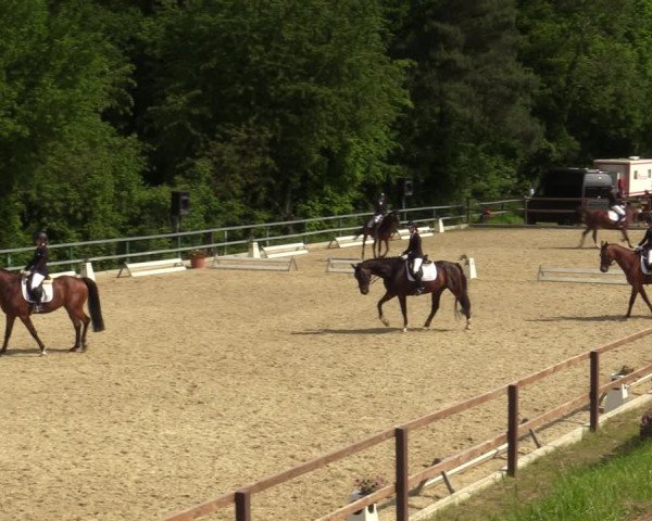 Reitturnier Iserlohn-Kalthof 2023