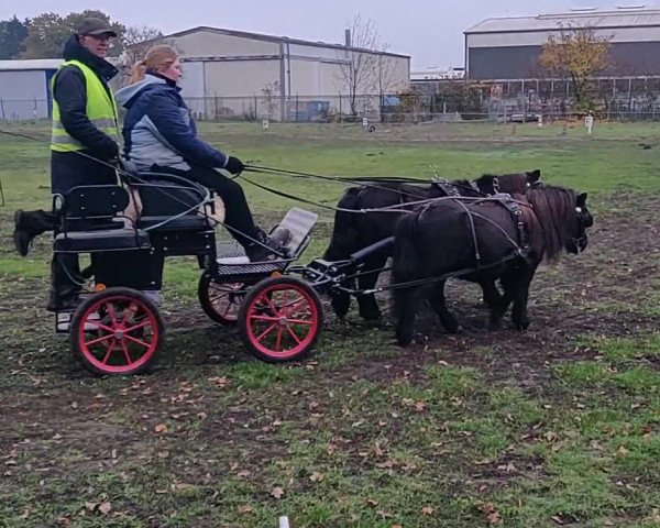 Video of Candy