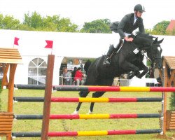 Fattrice Montessa FS (Cavallo Sportivo Tedesco, 2003, di Sunny-Boy)