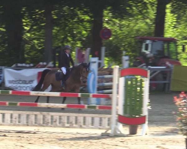 Reitturnier Iserlohn-Kalthof 2023