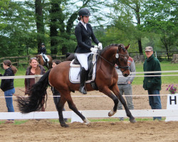 jumper Hjk Cosmo de Luxe (German Riding Pony, 2019, from Coleur de Luxe K)