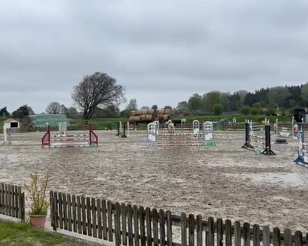 Reitturnier Breiholz/ Schülp  2023