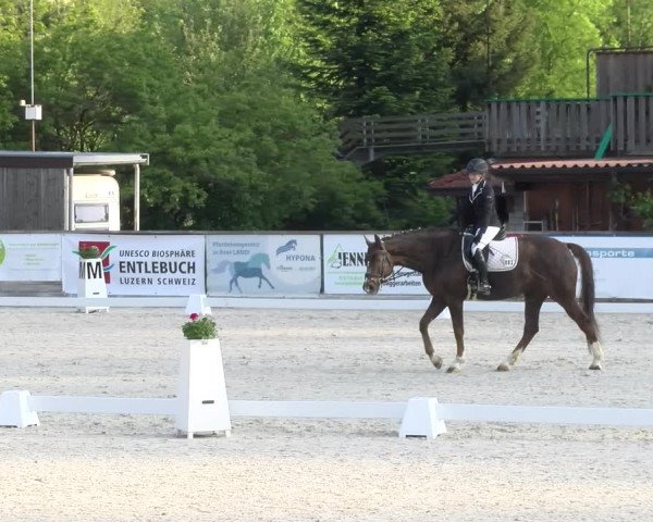 Reitturnier Schüpfheim 2023