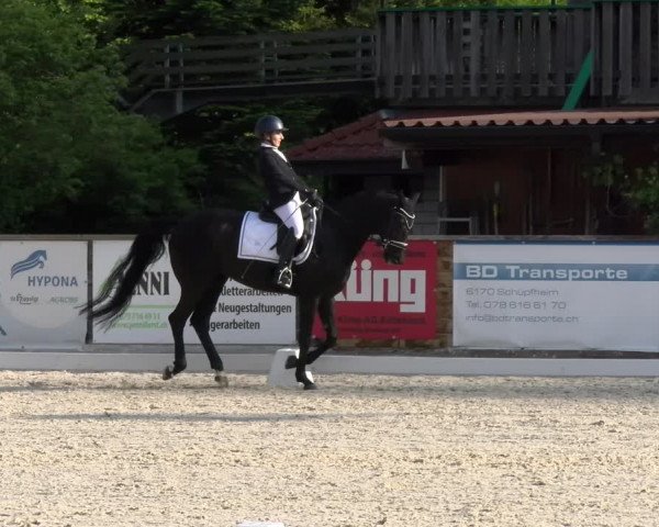 Reitturnier Schüpfheim 2023