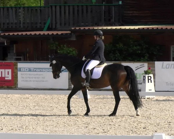 Reitturnier Schüpfheim 2023