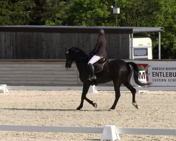 Reitturnier Schüpfheim 2023