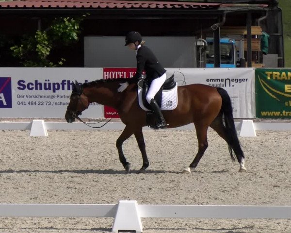 Reitturnier Schüpfheim 2023