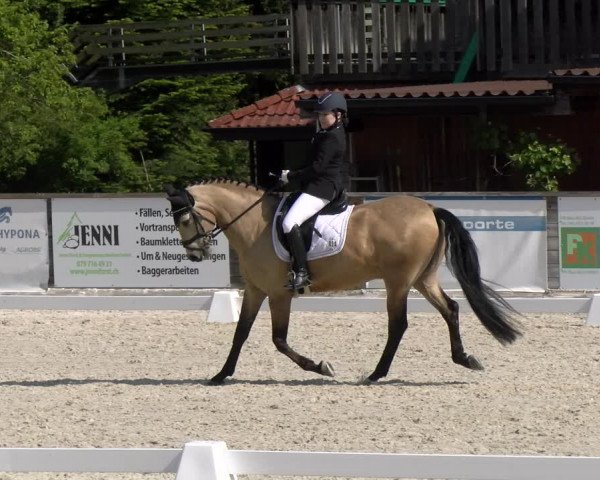 Reitturnier Schüpfheim 2023