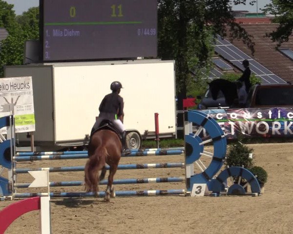 Reitturnier Iserlohn-Kalthof 2023