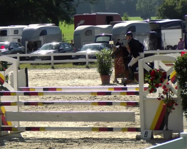 Reitturnier Isny-Rohrdorf 2021