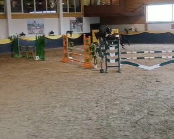 Reitturnier Sauldorf-Boll 2023