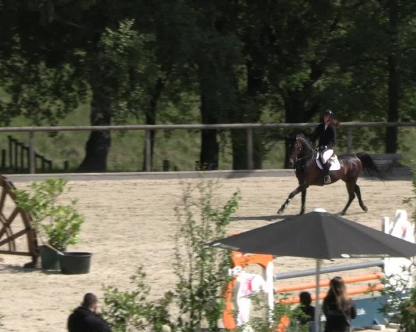 Reitturnier Erkrath - Uhlenhof 2023