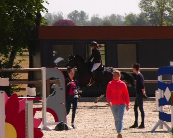Reitturnier Ruhlsdorf 2023